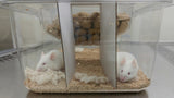 Mouse Cubby for Innovive (300 Irradiated Dividers)