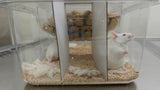 Mouse Cubby for Innovive (300 Non-Irradiated Dividers)