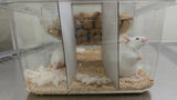Mouse Cubby for Innovive (300 Irradiated Dividers)